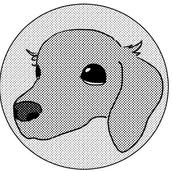 順_jun