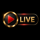 専業トレーダー  maru