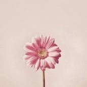 匿名駆け込み処