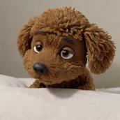 うさみみちゃん