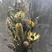 花lab hiro