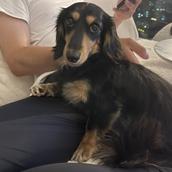 ua3rn221