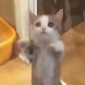 hitoshinoda