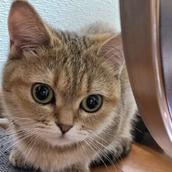 いろんな相談受付中