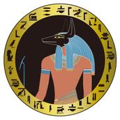 ジャッカルさん　X運用ビジネスの専門家