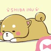 マツ上