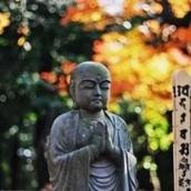 如水誠