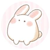 うさぎのみみ ꪔ̤♡