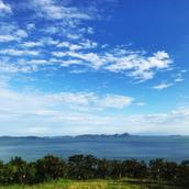 やまだ（名前変更しました。）