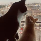 高橋〜縁〜rapport