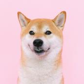 なんでも相談できるおじさん