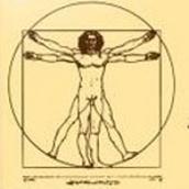 トニーノイマン