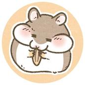 Mr．副業マン