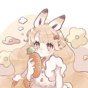 Puyu3