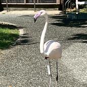 ワイファイに詳しいレンタルおにさん