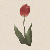 鵜久森うい✦illustration