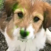 メイ太陽のように