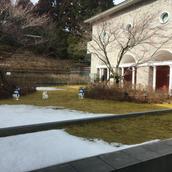 菊地（文京区在住）