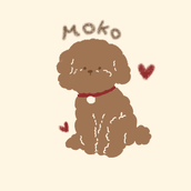 moko__