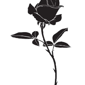 Blackrose_coco