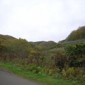 fuku0708