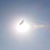 ☀はれのはるiec∞◉