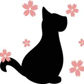 天如❀