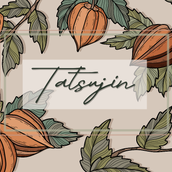 辰仁 Tatsujin