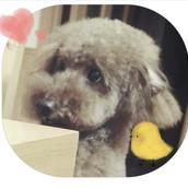 minami chan_3