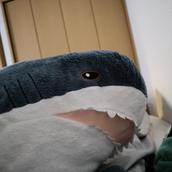 やにあ