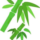 BambooWorks