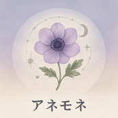 ✤アネモネ✤