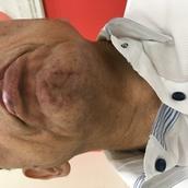 エージェント杉