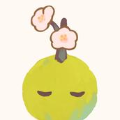 lilija create