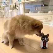 梅田の高広
