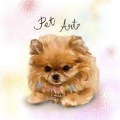 PeT ArT