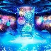 帆乃華