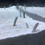 ツカモト｜食品衛生のご相談承ります！