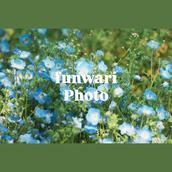 funwariphoto0409