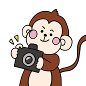 おさるの写真家