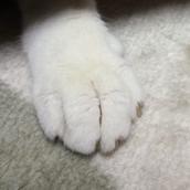 ヒロデザイン竹内