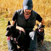 will 10dogs