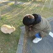 yoshua＠日ナレ修了