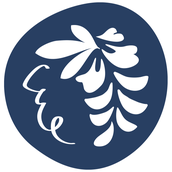 Glicina Design