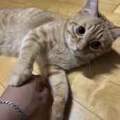 賃貸戦士