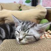 アウトドアの浪人