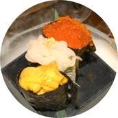 toyamatrip