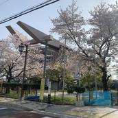ぴぐ_地道なんでも屋