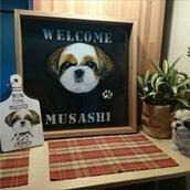 こっこのお店