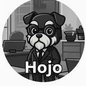 hojo_業務×AIコンサルタント
